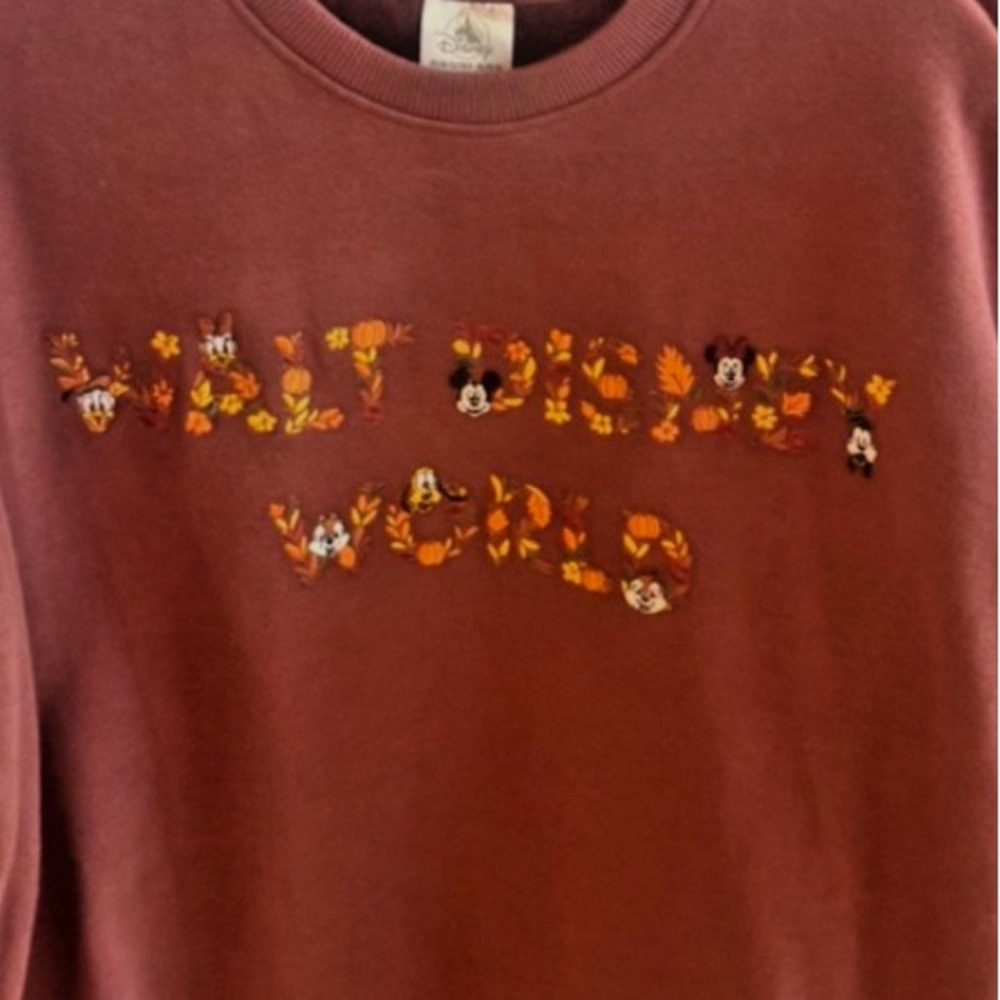 2026 Walt Disney World Fall Mickey & Friends Sweatshirt S Embroidered Pullover